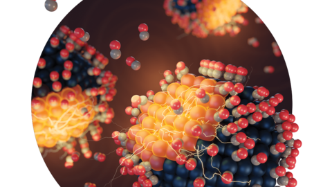 Reece lab paper makes the cover of Angewandte Chemie
