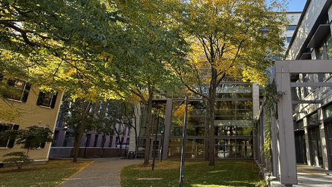 Widener Library Front Portico