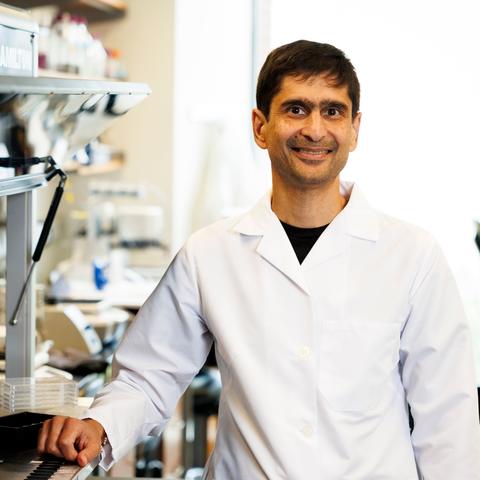 photo of michael desai