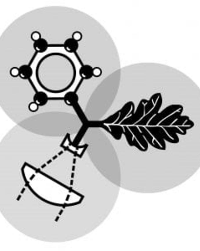 black and white version of Rowland Institute logo